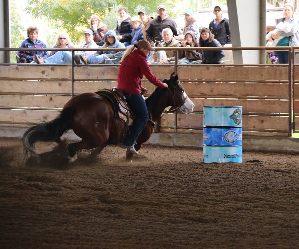 Rodeo Horses for Sale Idaho Falls, ID Horse Source Inc