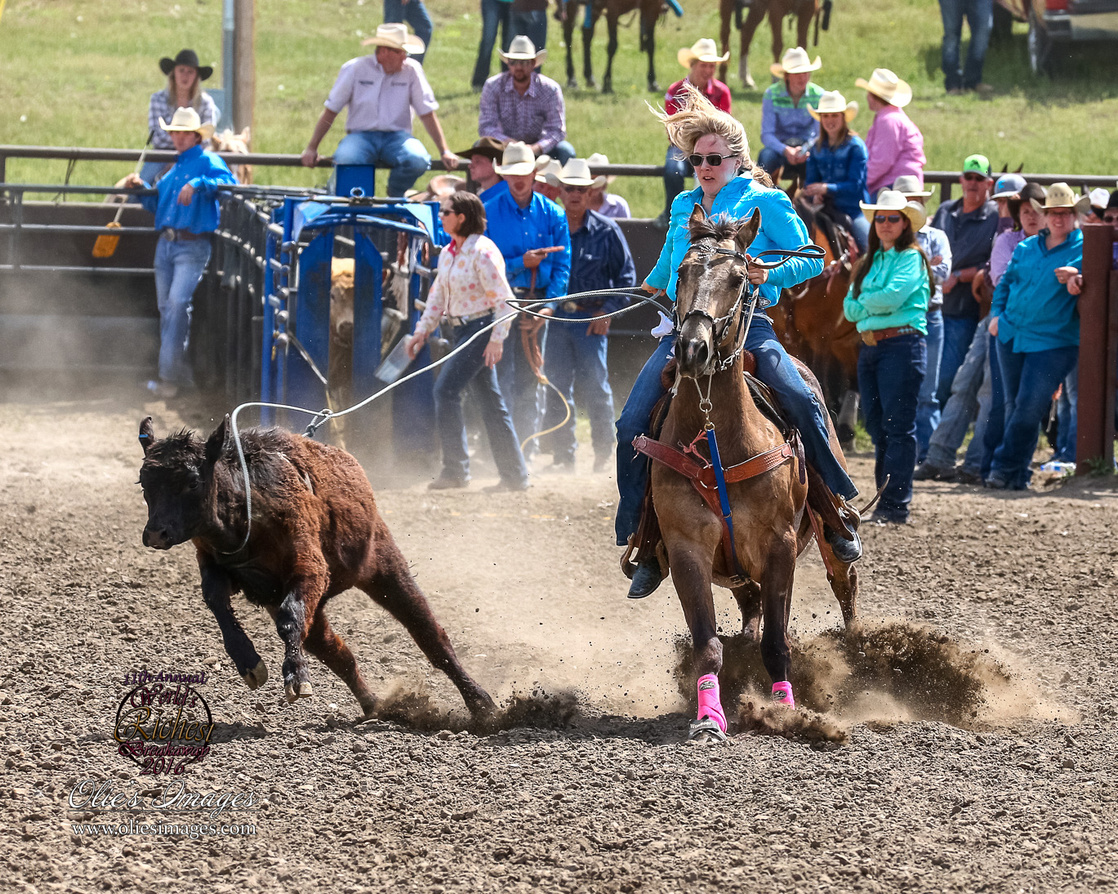 Rodeo Horses for Sale Idaho Falls, ID Horse Source Inc
