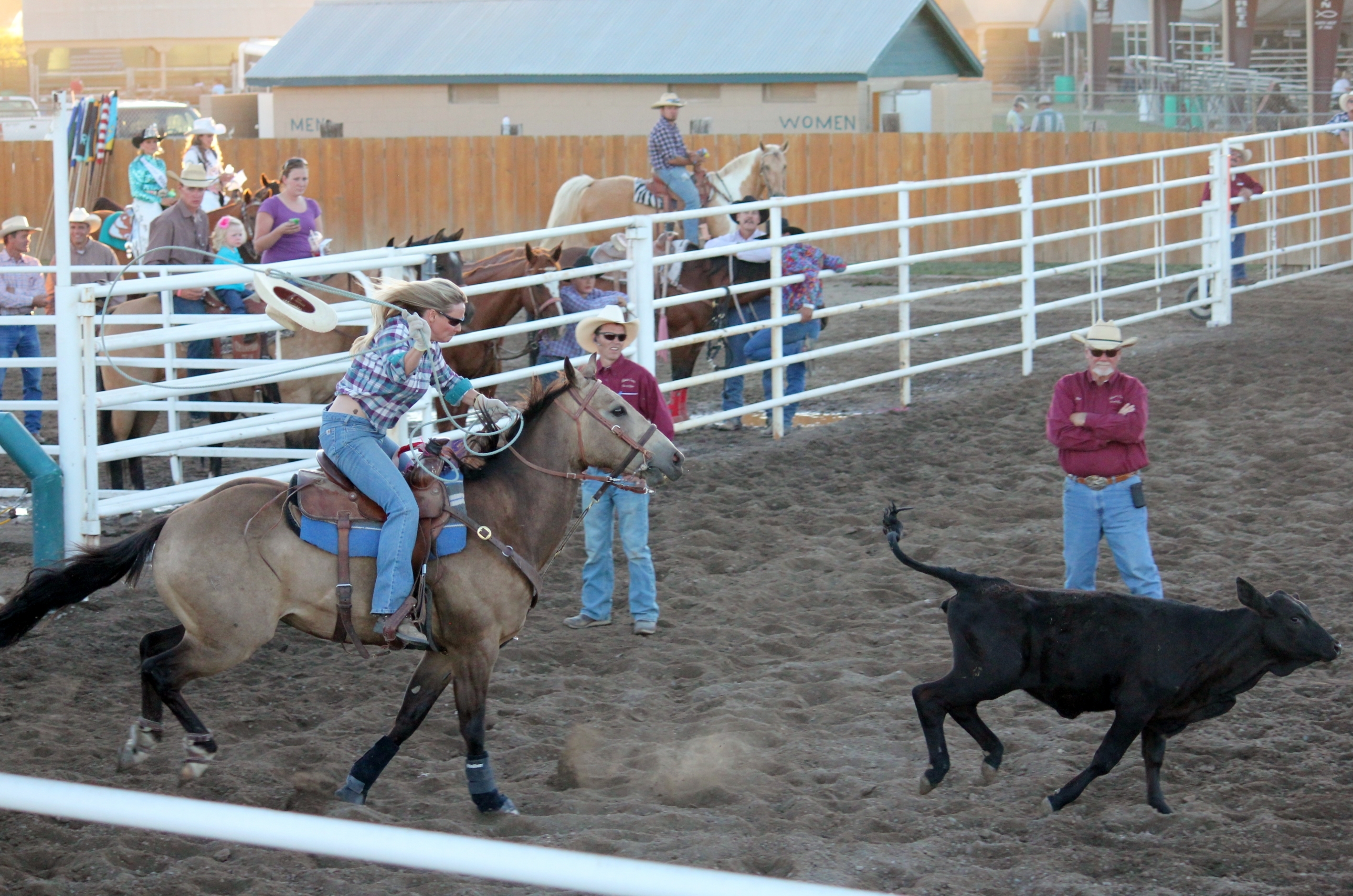 Rodeo Horses for Sale Idaho Falls, ID Horse Source Inc