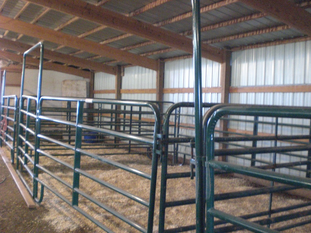 Horse Boarding Idaho Falls, ID at BarR Ranch Horse Source Inc